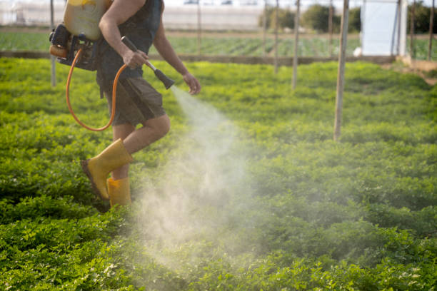 Best Emergency Pest Control  in Cocoa, FL