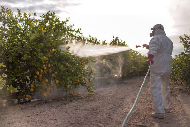 Best Bird Control  in Cocoa, FL