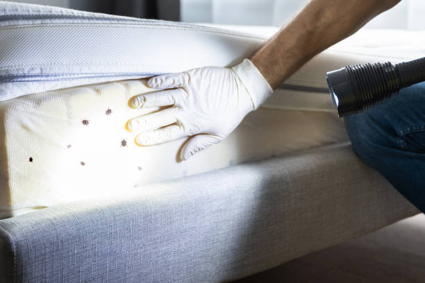 Best Best Pest Control Companies  in Cocoa, FL