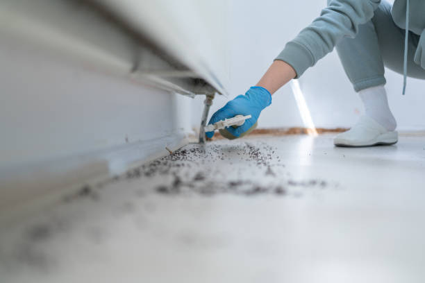 Reliable Cocoa, FL Pest Control Solutions